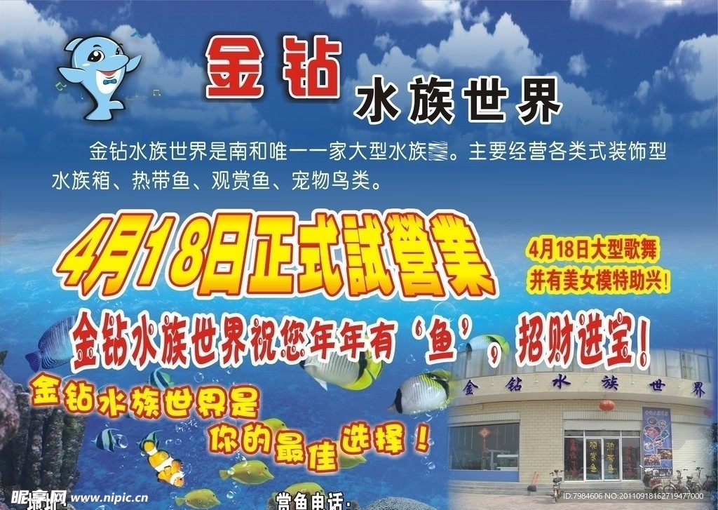 金钻水族世界