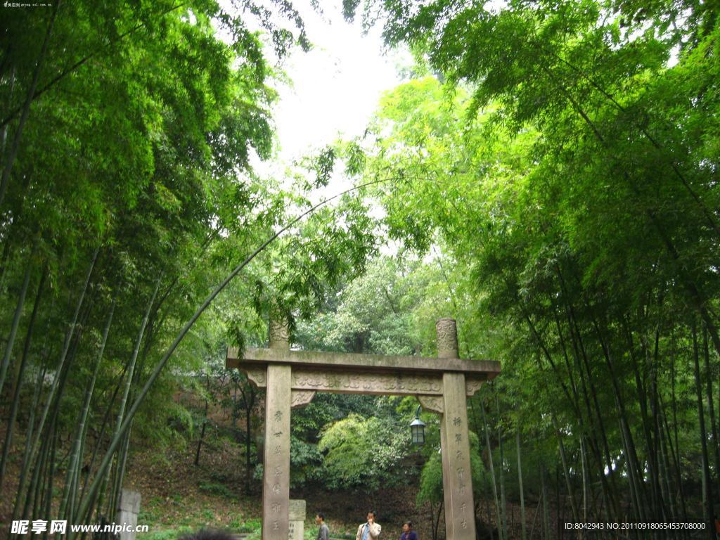 竹林