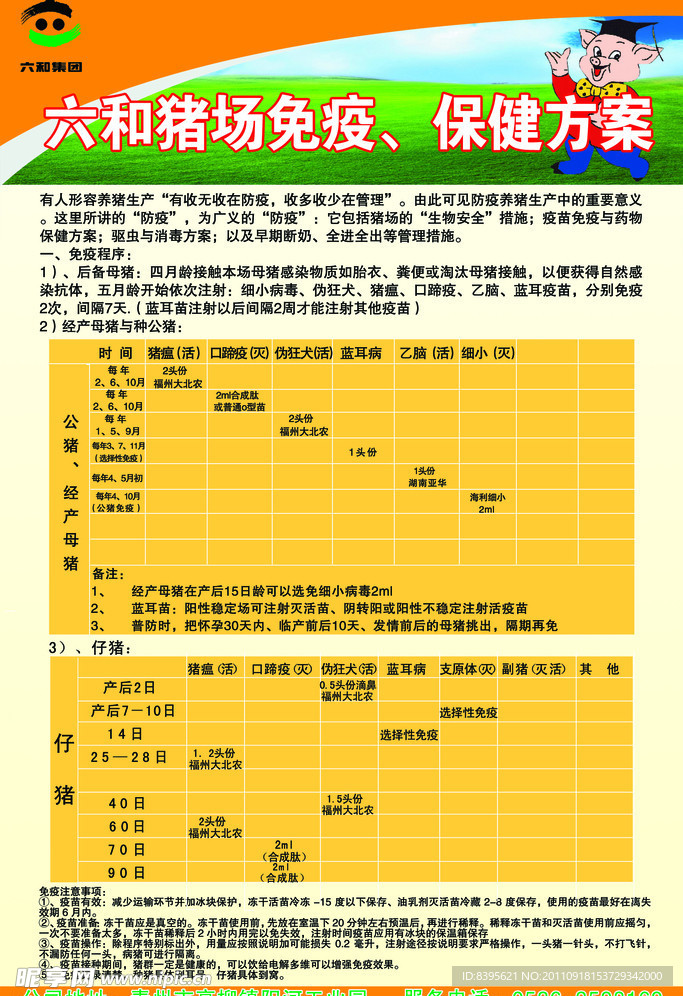 猪场保健方案 海报