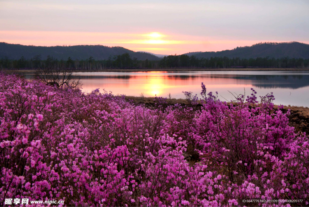 夕阳湖泊