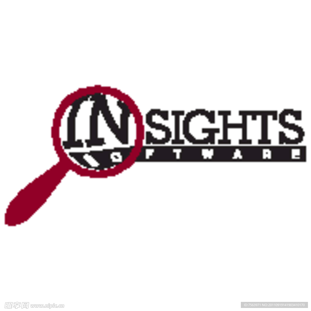 Insights Software标志