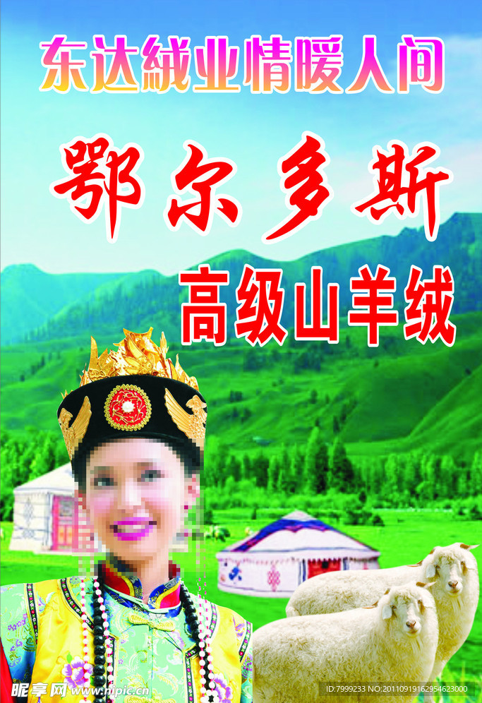 鄂尔多斯 羊毛 草原 东达