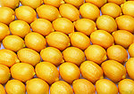 橙子