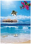 沙滩天堂