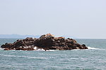 大海风光