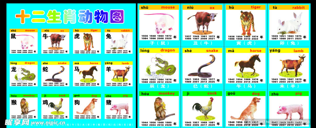 十二生肖