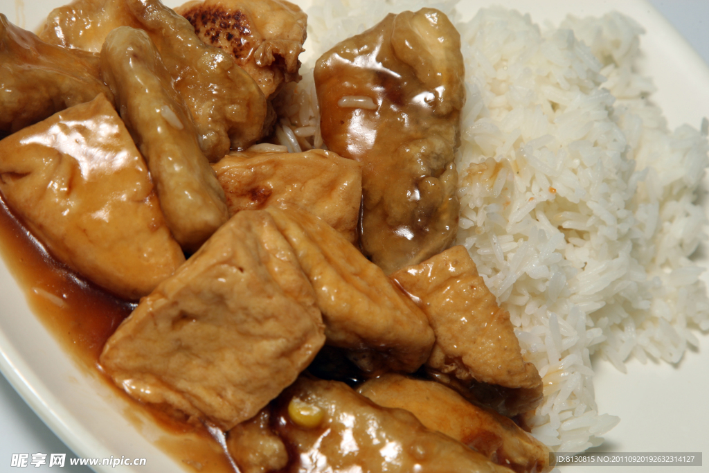紅燒豆腐飯