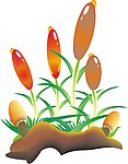 蘑菇和花