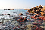 海边碣石