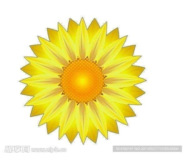 向日葵