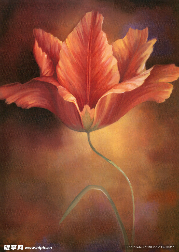 手绘花卉