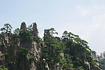 黄山的奇松怪石