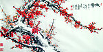 傲雪