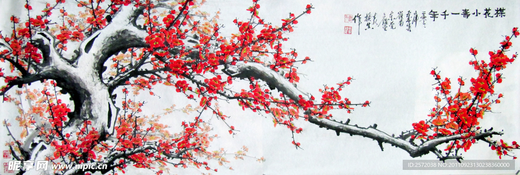 梅花小寿一千年