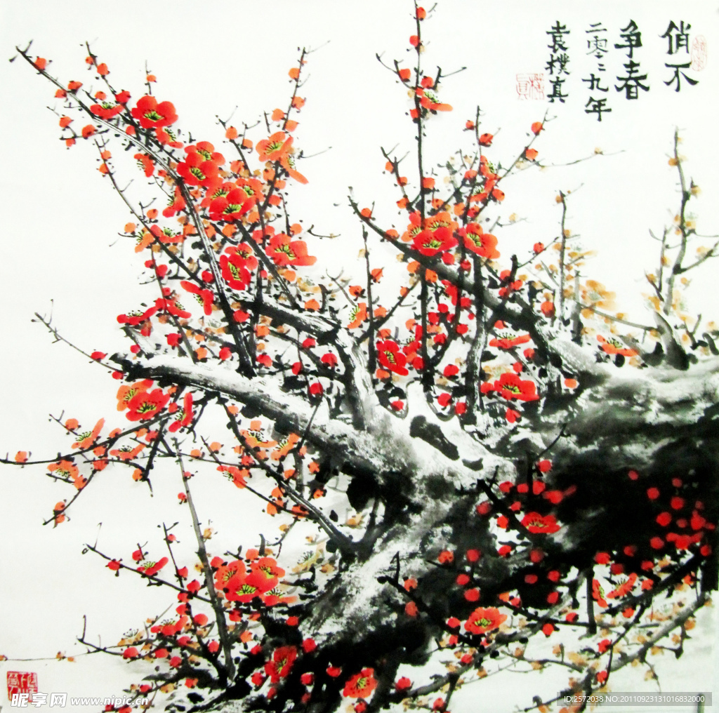 俏不争春