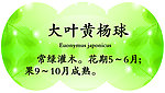 异形展板