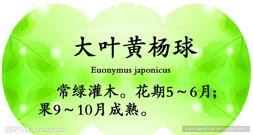异形展板