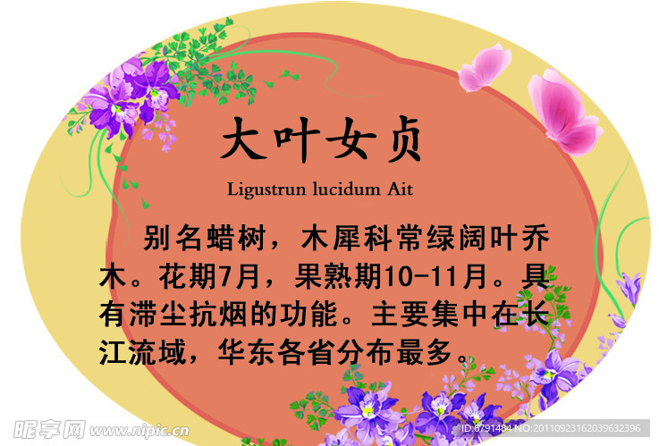 异形展板