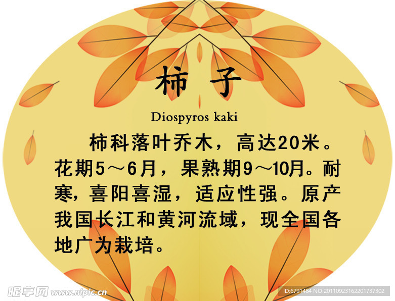 异形展板