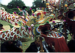 布龙头