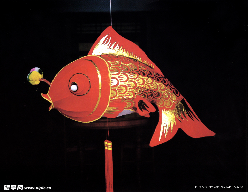 荷包红鲤-江西水产经济动物-图片