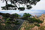 黄山风光