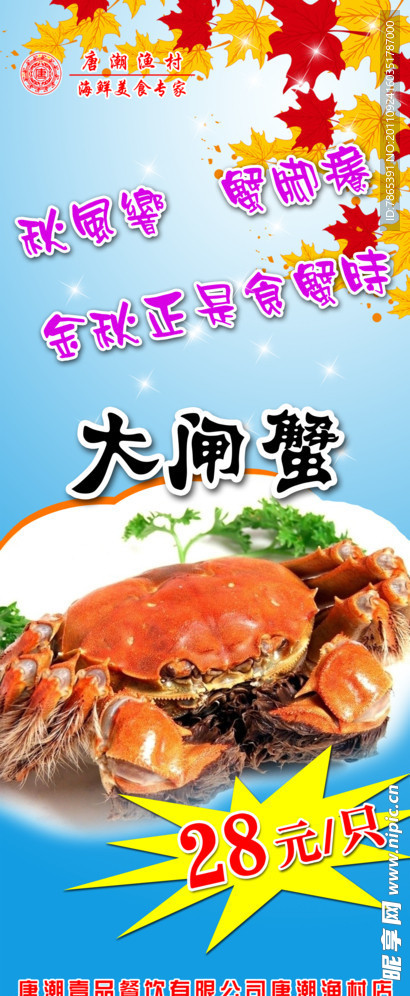 大闸蟹 易拉宝