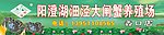 阳澄湖大闸蟹