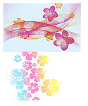 梦幻花纹