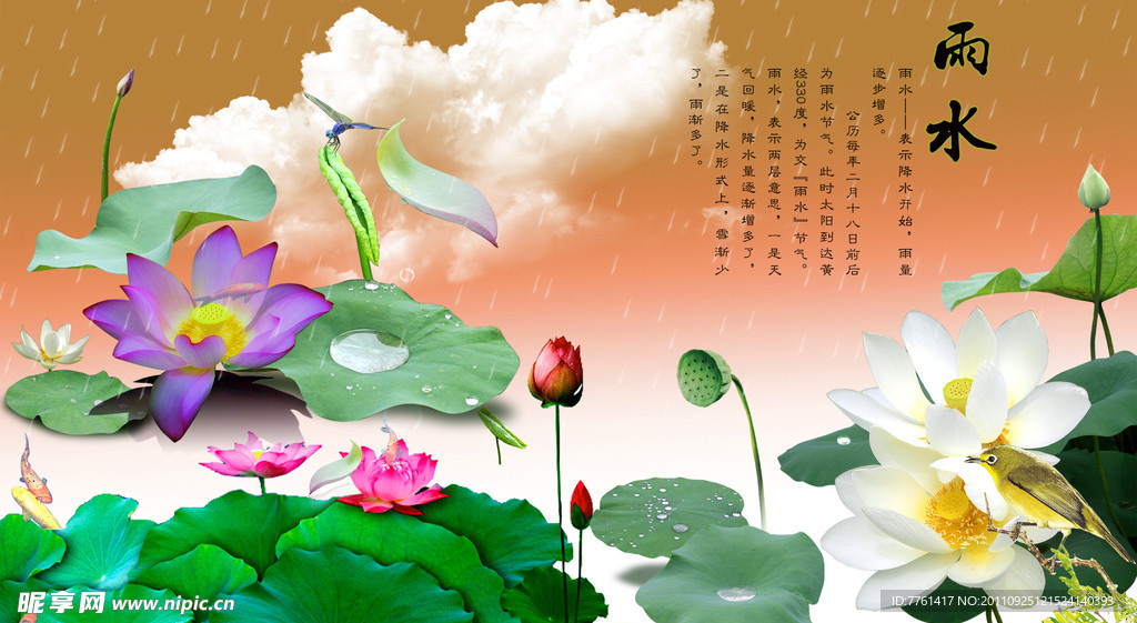 荷花彩云海报
