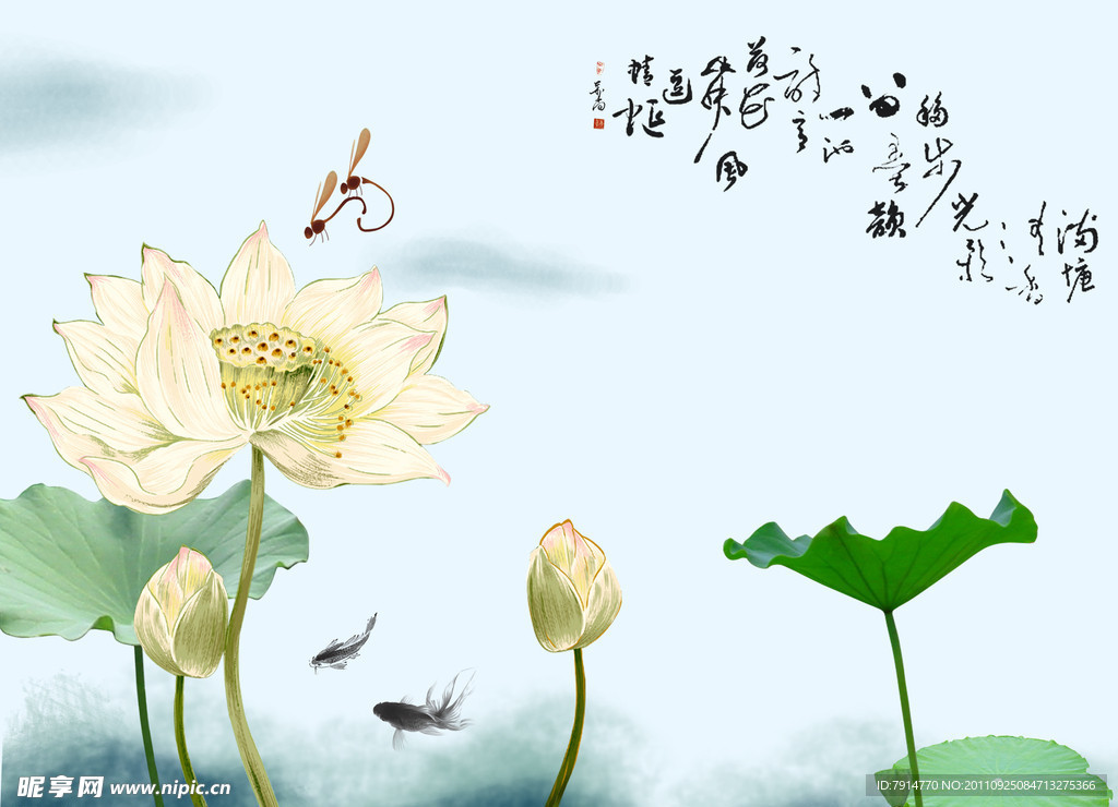 荷花底图