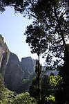 山林