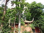 树林间的寺庙建筑