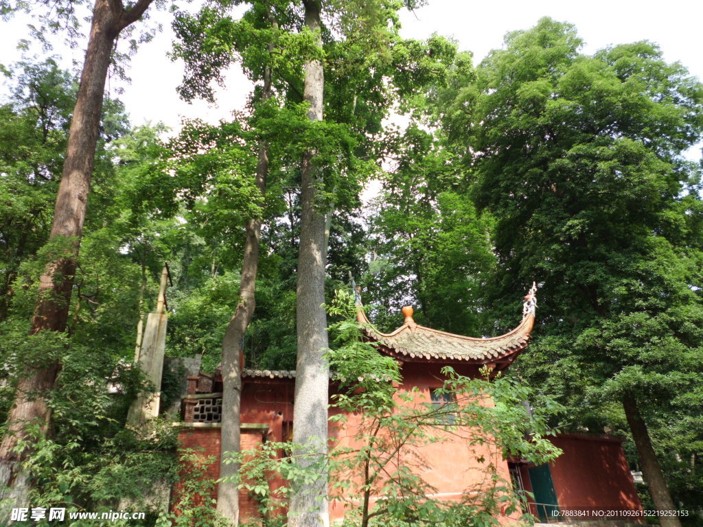 树林间的寺庙建筑