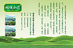 茶文化