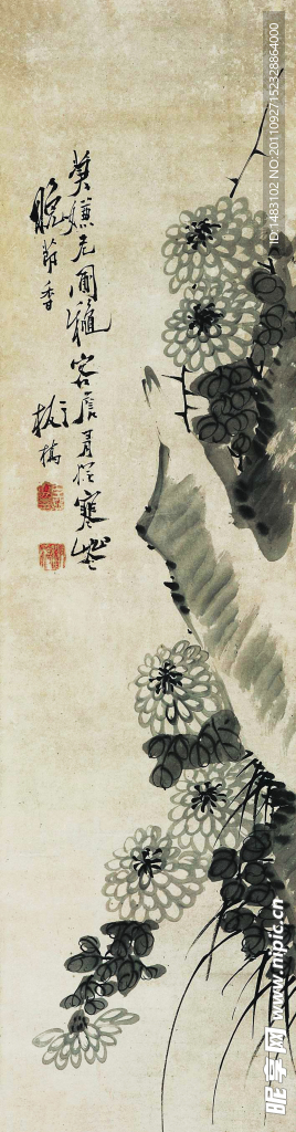 菊石图