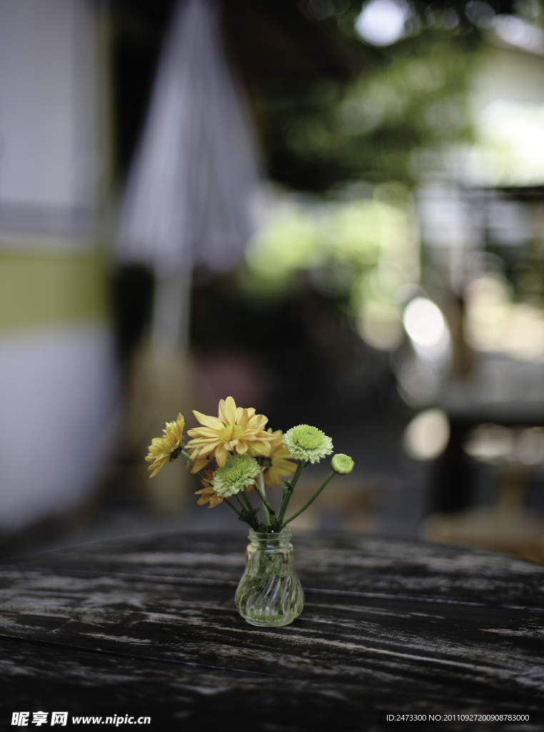 花朵特写