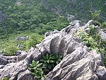 桂林西山野山顶