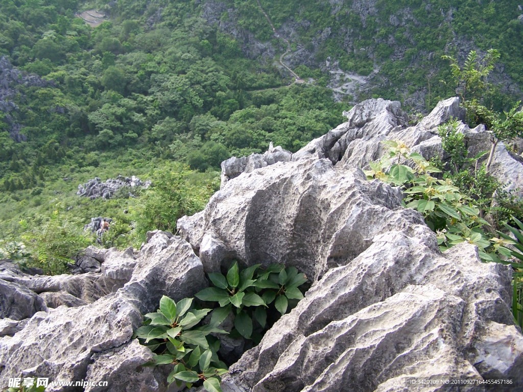 桂林西山野山顶