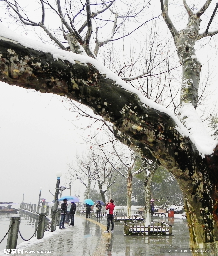 雪景