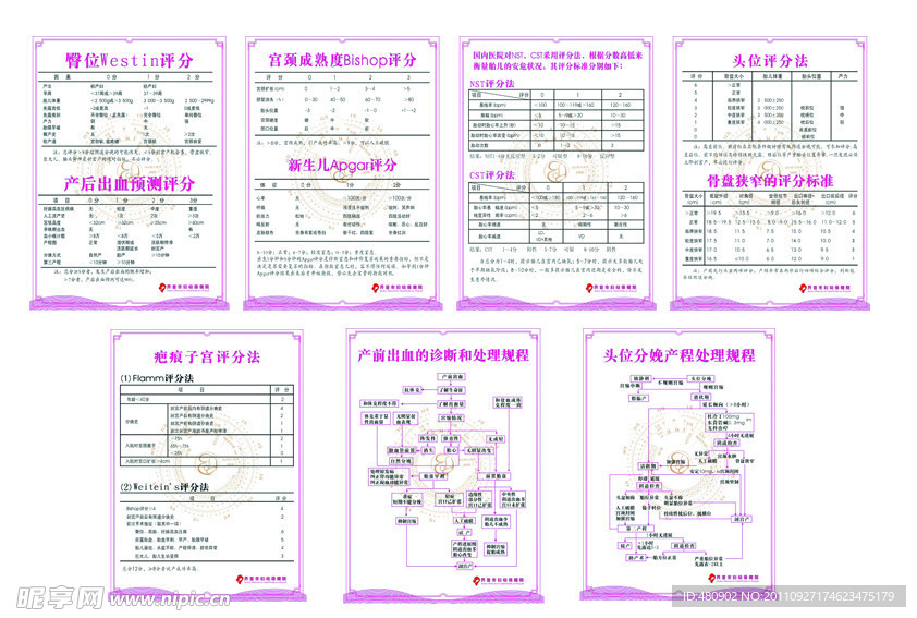 保健所挂图