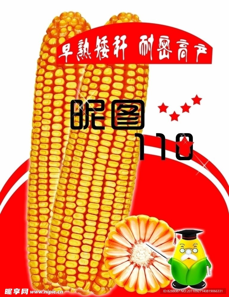 玉米最新品种宣传单