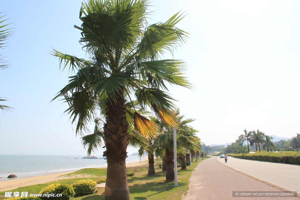 环岛路 大海