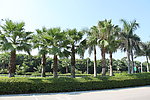 环岛路