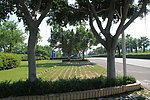 厦门风光 环岛路