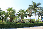 厦门风光 环岛路