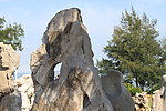 环岛路