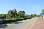 环岛路