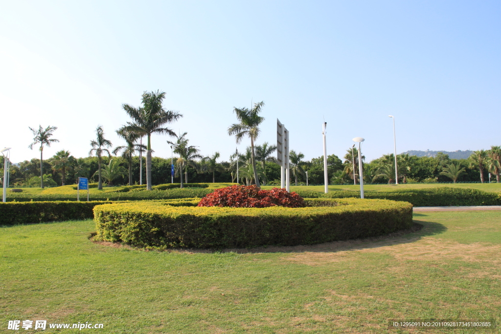 厦门风光 环岛路 花坛