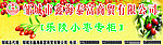 小枣海报